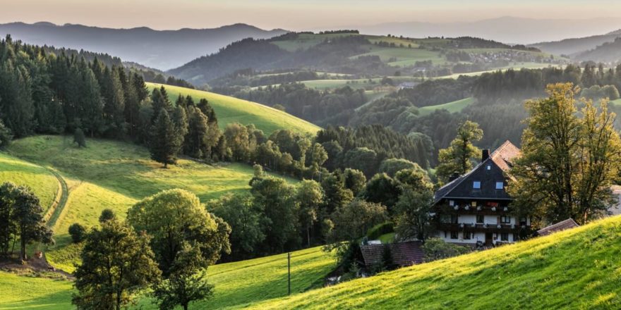 Schwarzwald